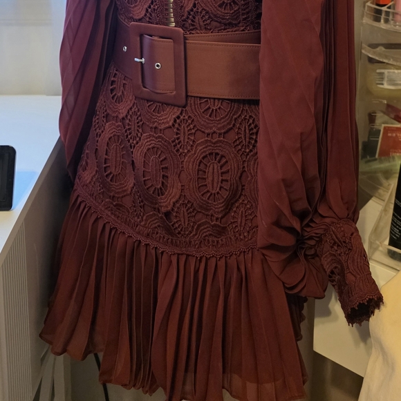 Wine Burgundy Lace & Pleated Long-Sleeve Mini Dress - Picture 3 of 6